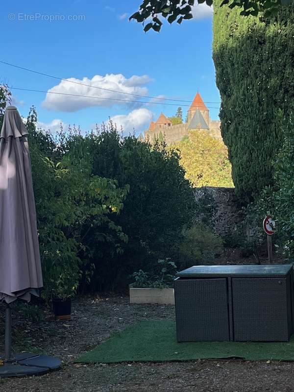Mas au pied de la cité de Carcassonne - photo 45