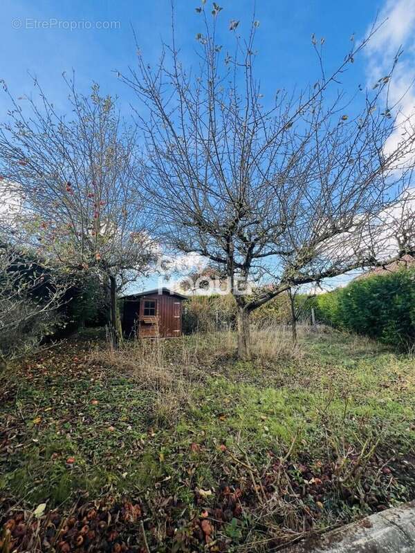 Photo 5 - Maison à RIVERY