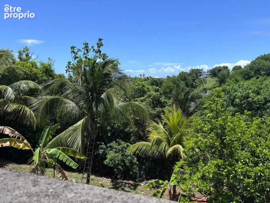À Goyave, découvrez une propriété au fort potentiel ! Sur une parcelle verdoyante de 2 938 m², cette maison offre 4 chambres, de - photo 4