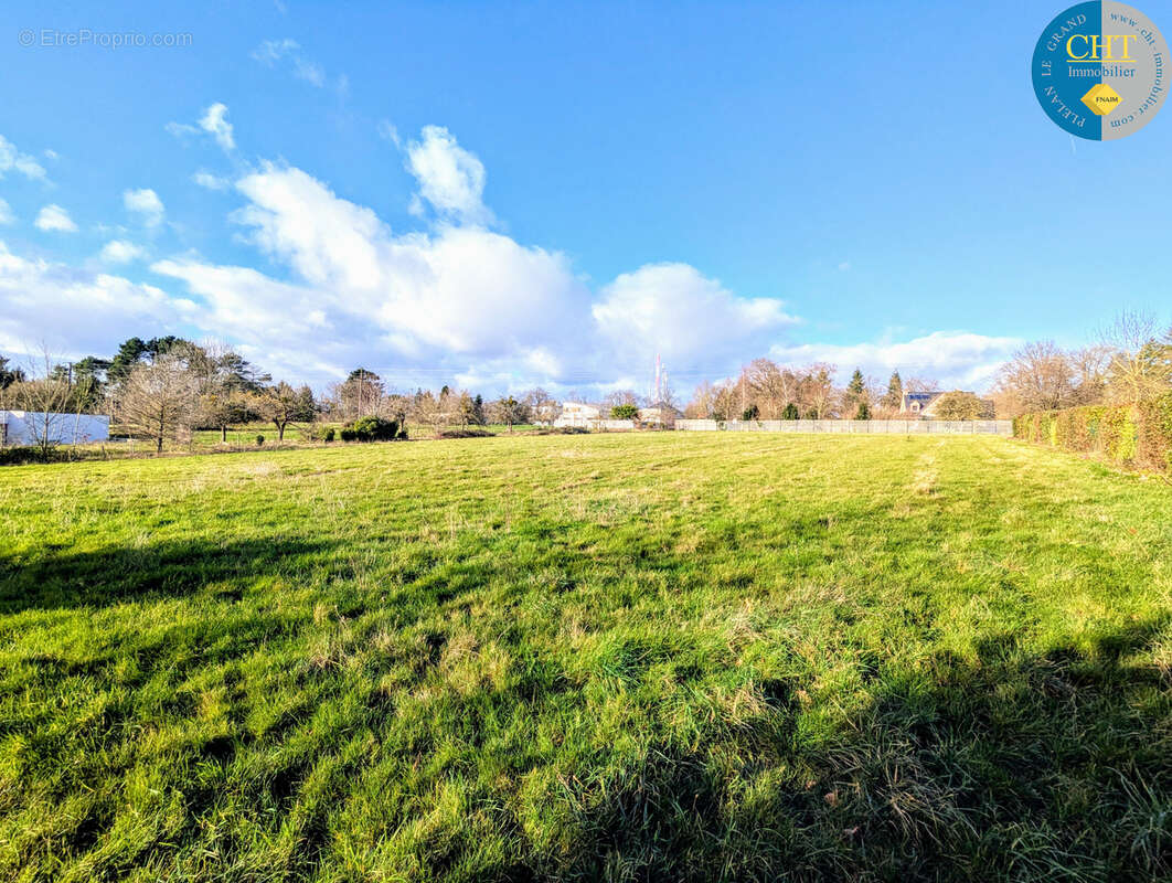 Terrain constructible de 241m2 à vendre à GUER (56 380) - photo 6