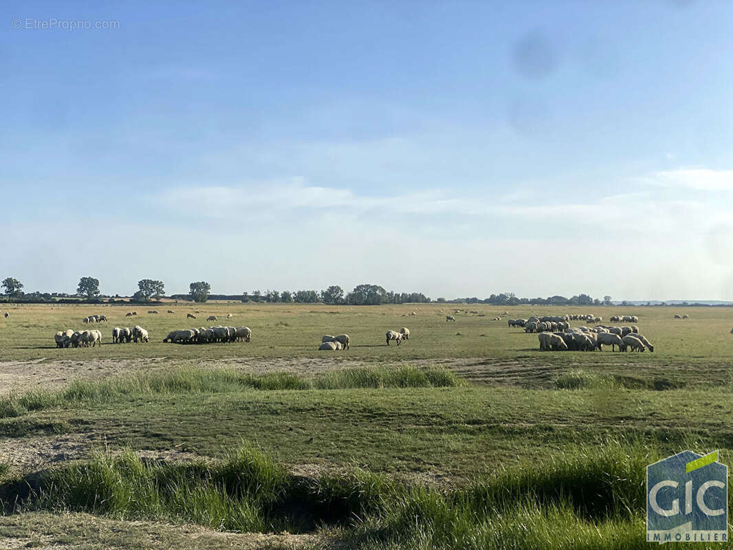 Terrain à LE VAL-SAINT-PERE