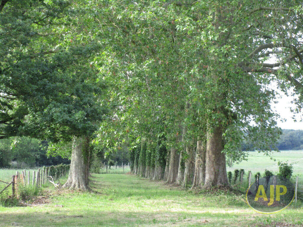 Maison à VILLEDIEU-LA-BLOUERE