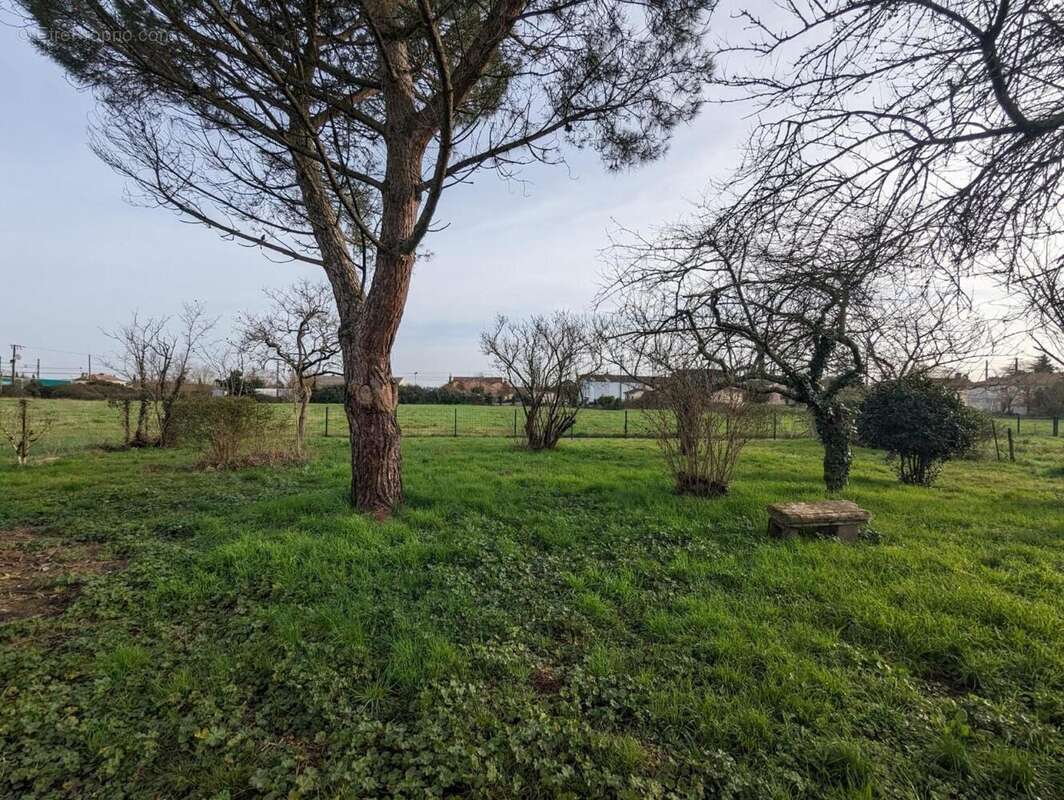 Photo 4 - Maison à SAINTE-BAZEILLE