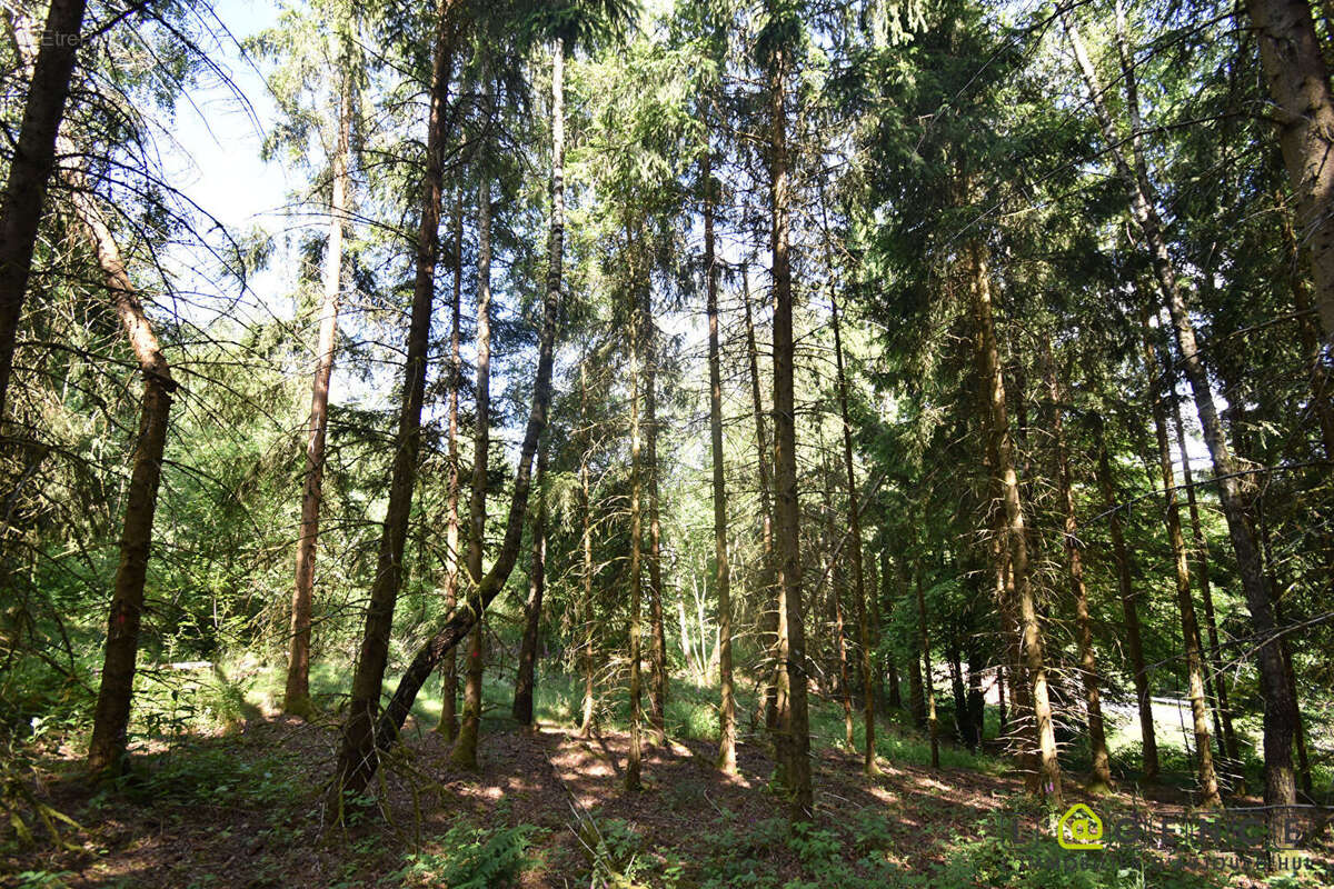 Terrain à ANOULD