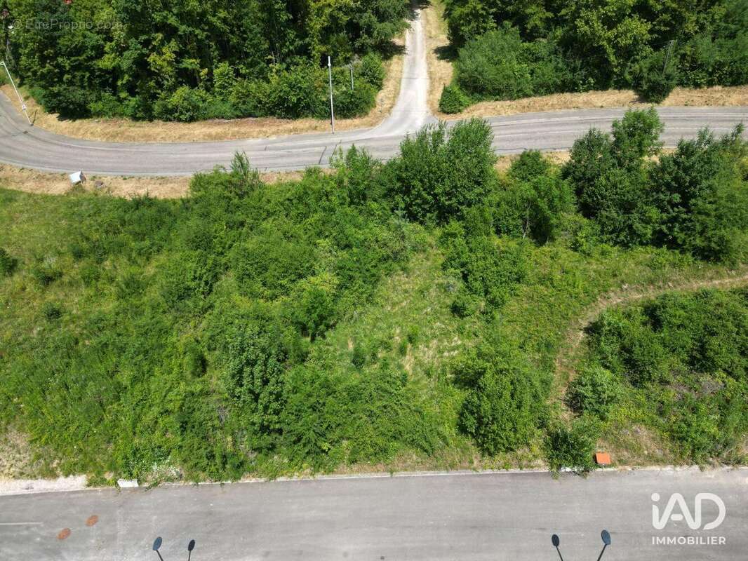 Terrain 700 m² à Ferrette  - photo 3