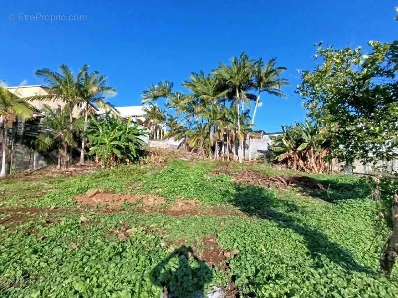 Terrain à LE TAMPON