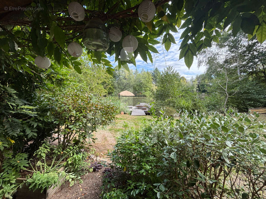 Maison à PIERREFITTE-SUR-SAULDRE