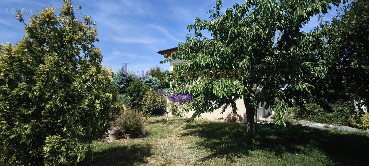 Douvaine : Maison à vendre ! - photo 10