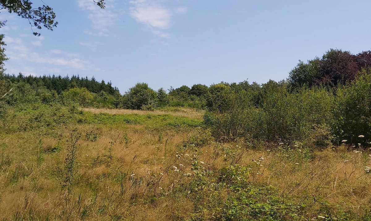 20210810_135915 - Terrain à SAINT-MARTIN-LE-PIN