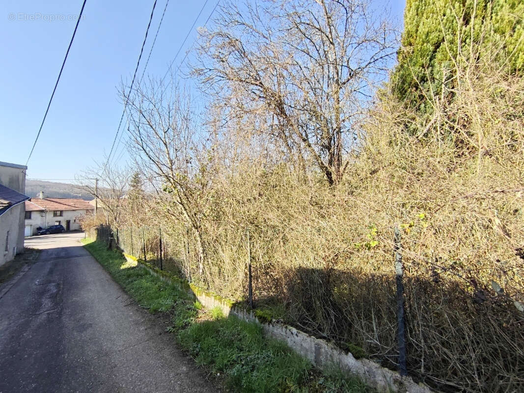 Maison à VANNES-LE-CHATEL