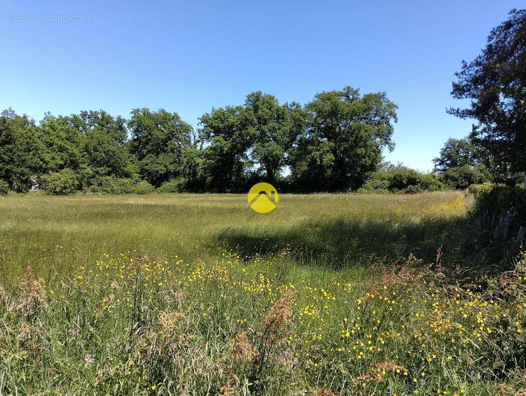 Terrain à LURCY-LEVIS