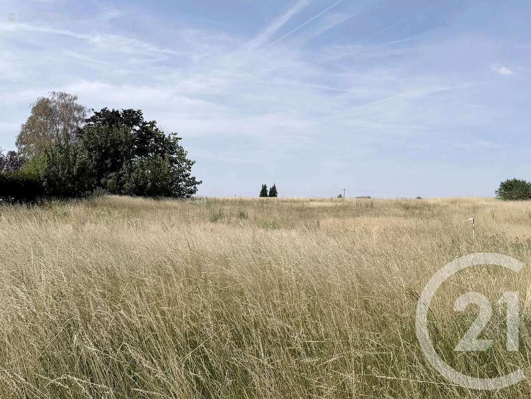 Terrain 945 m² à Maison-Rouge  - photo 10
