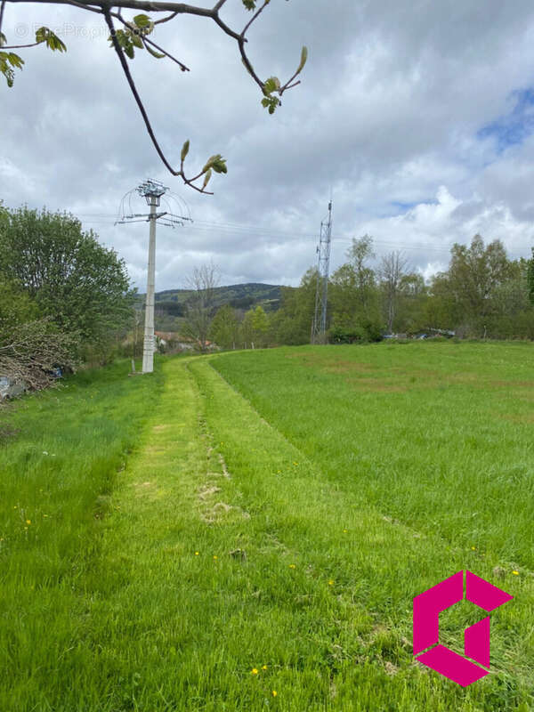 Terrain à LE BRUGERON