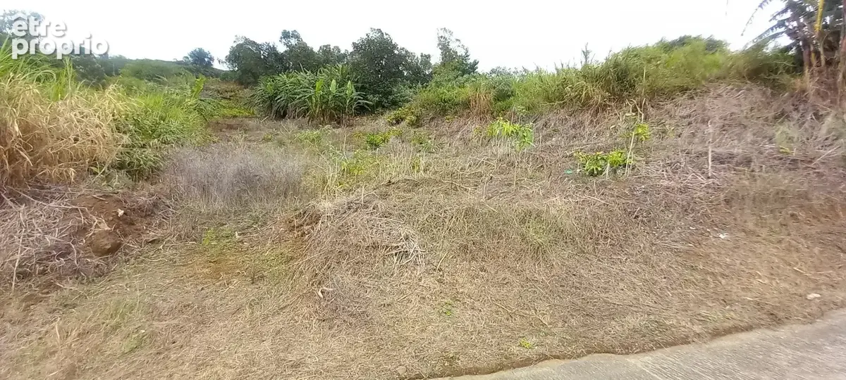 Terrain 1397 m² à Saint-Leu  - photo 8