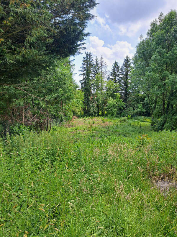 Terrain à SAULCES-MONCLIN