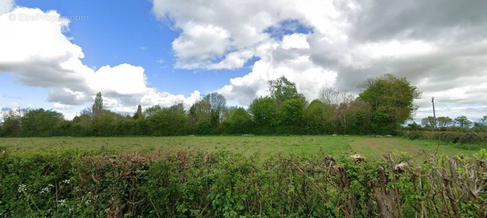 Terrain à MONTREUIL-L'ARGILLE