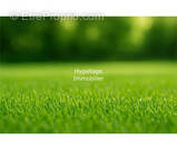 Terrain à ENSUES-LA-REDONNE