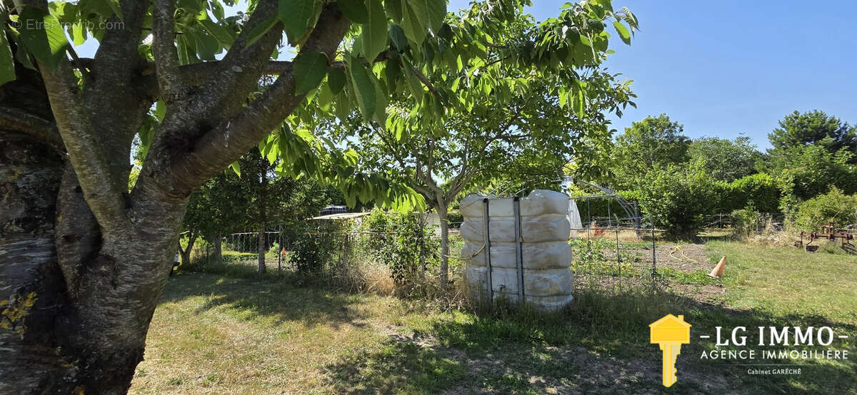Maison charentaise 206 m2, 5 chambres, grandes dépendances, jardin - photo 36
