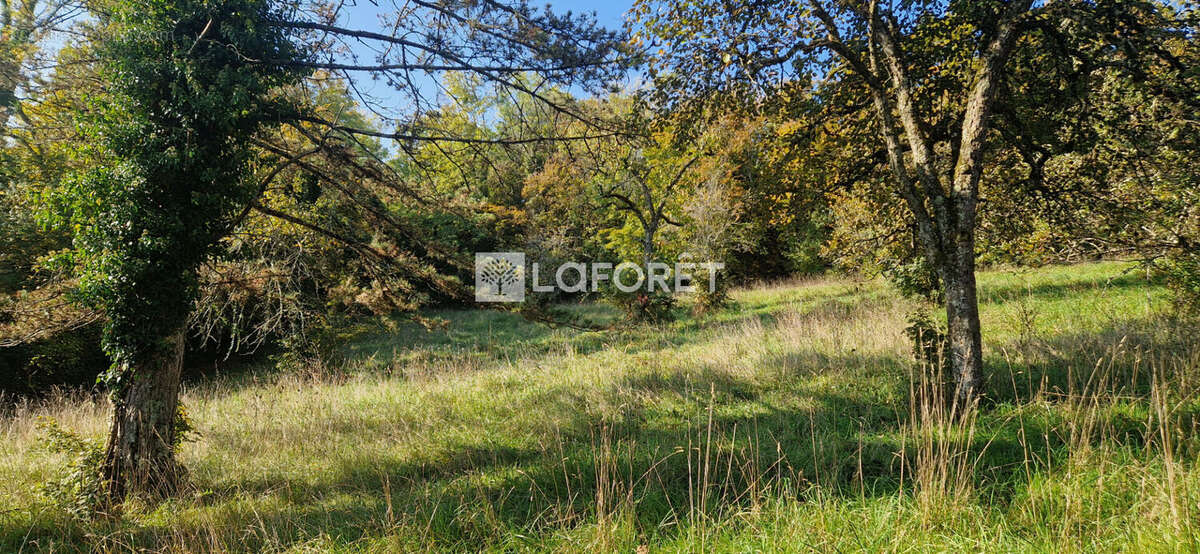 Terrain à PORT-LESNEY