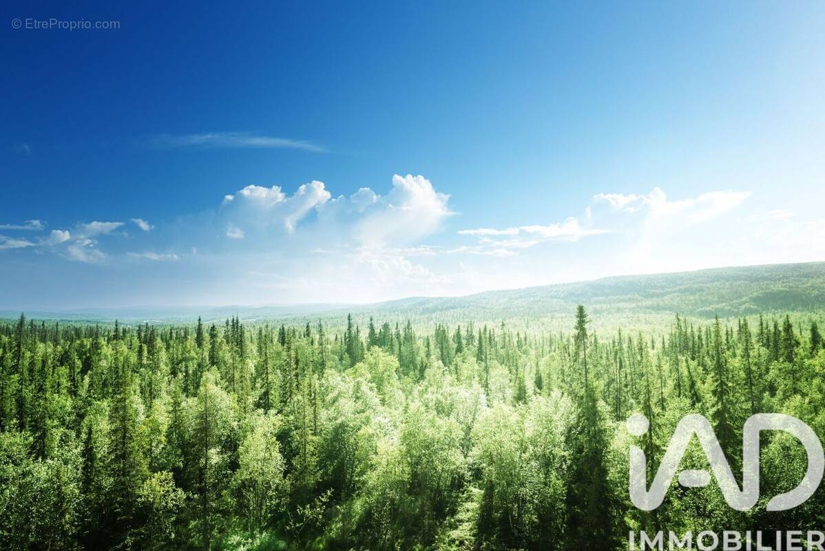 Photo 1 - Terrain à LA CAPELLE-BONANCE