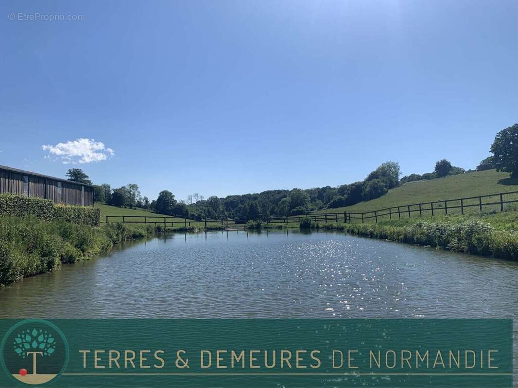 A vendre dans le PAYS D'AUGE du CALVADOS, secteur LISIEUX, haras d'élevage de chevaux sur une surface de 48 ha. - photo 17