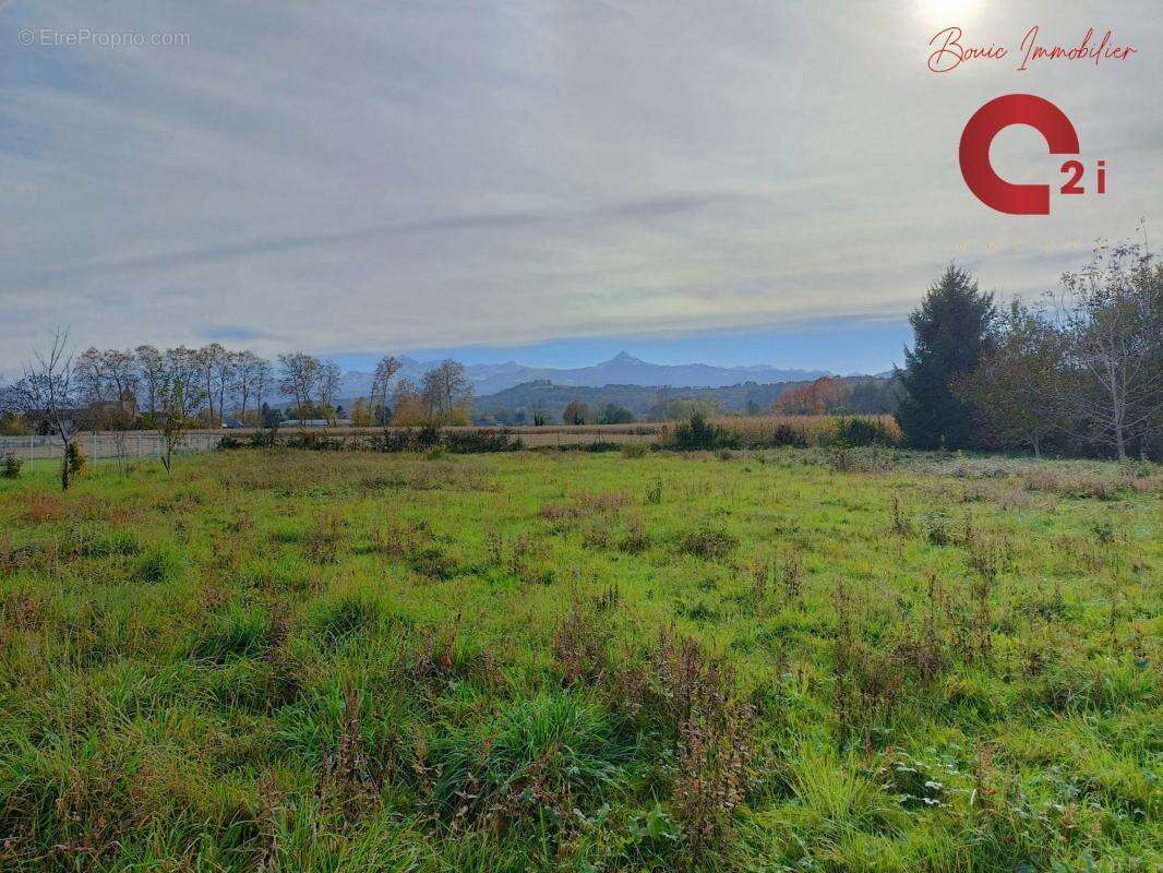 Terrain à SAINT-MARTIN