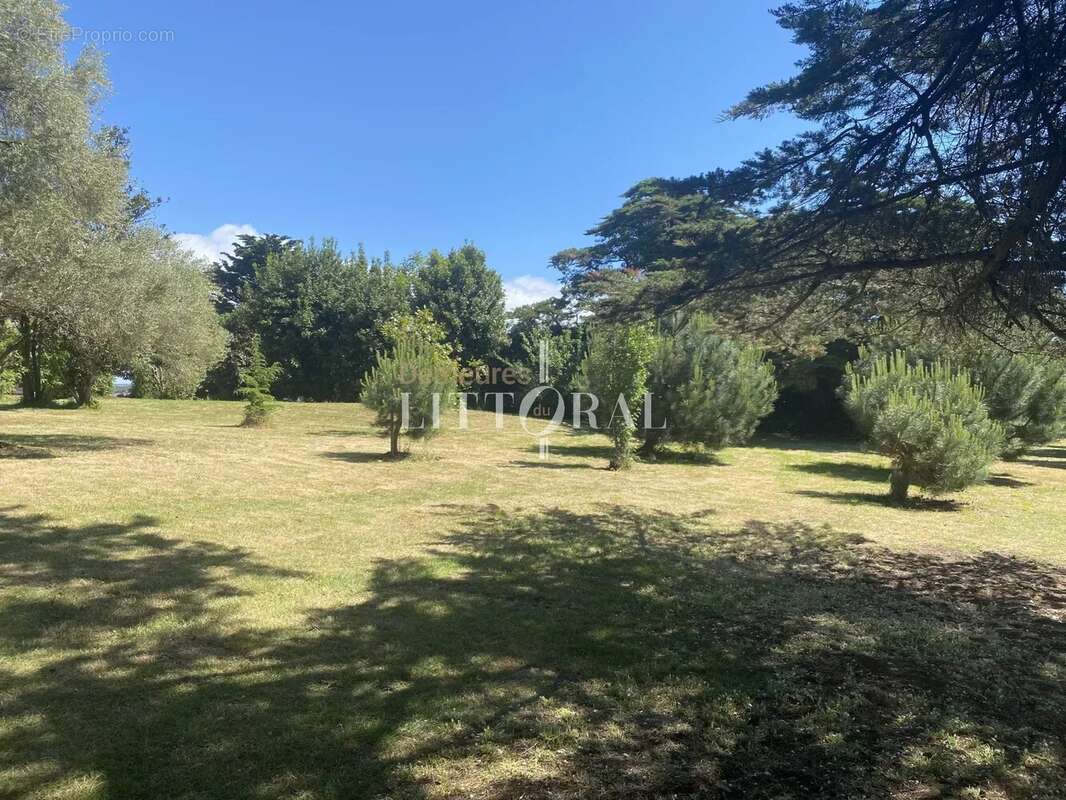 L’île d’Arz – Propriété unique en bord de mer - photo 17