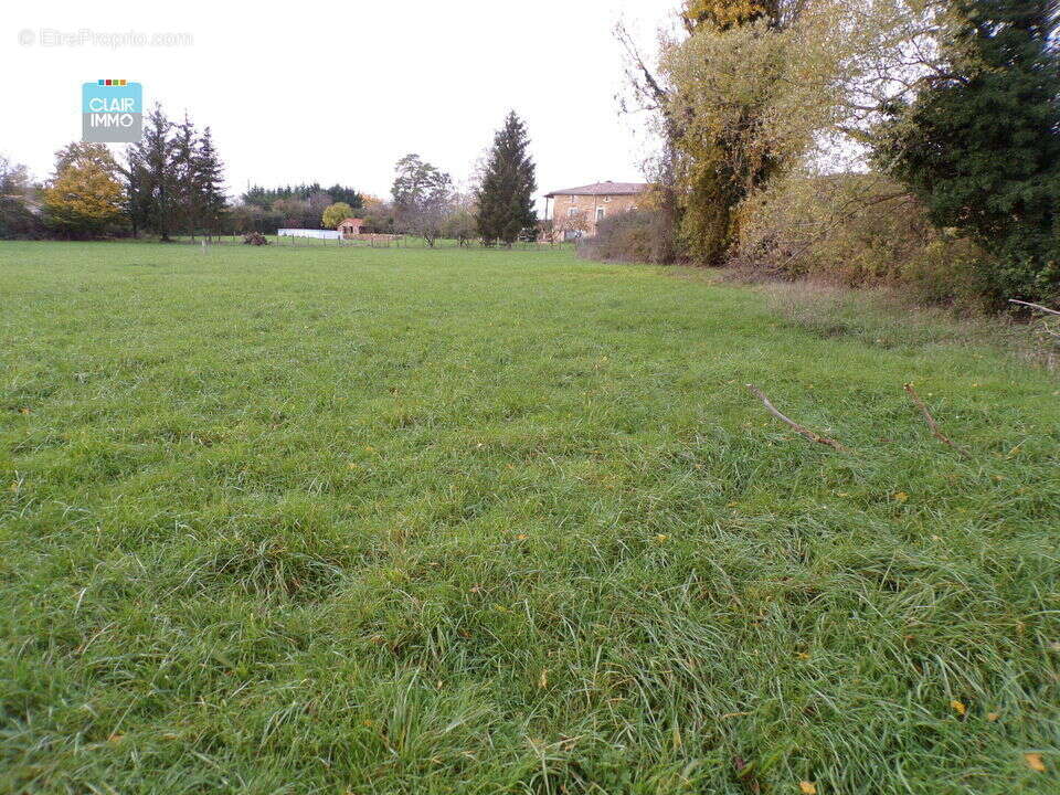 A SAINT-MAURICE-DE-SATONNAY PROCHE MACON BEAU TERRAIN A BATIR - Terrain à SAINT-MAURICE-DE-SATONNAY