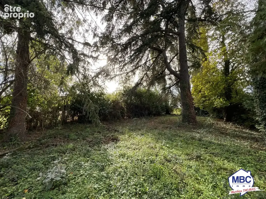 Terrain de Loisir - proche Loire - photo 4