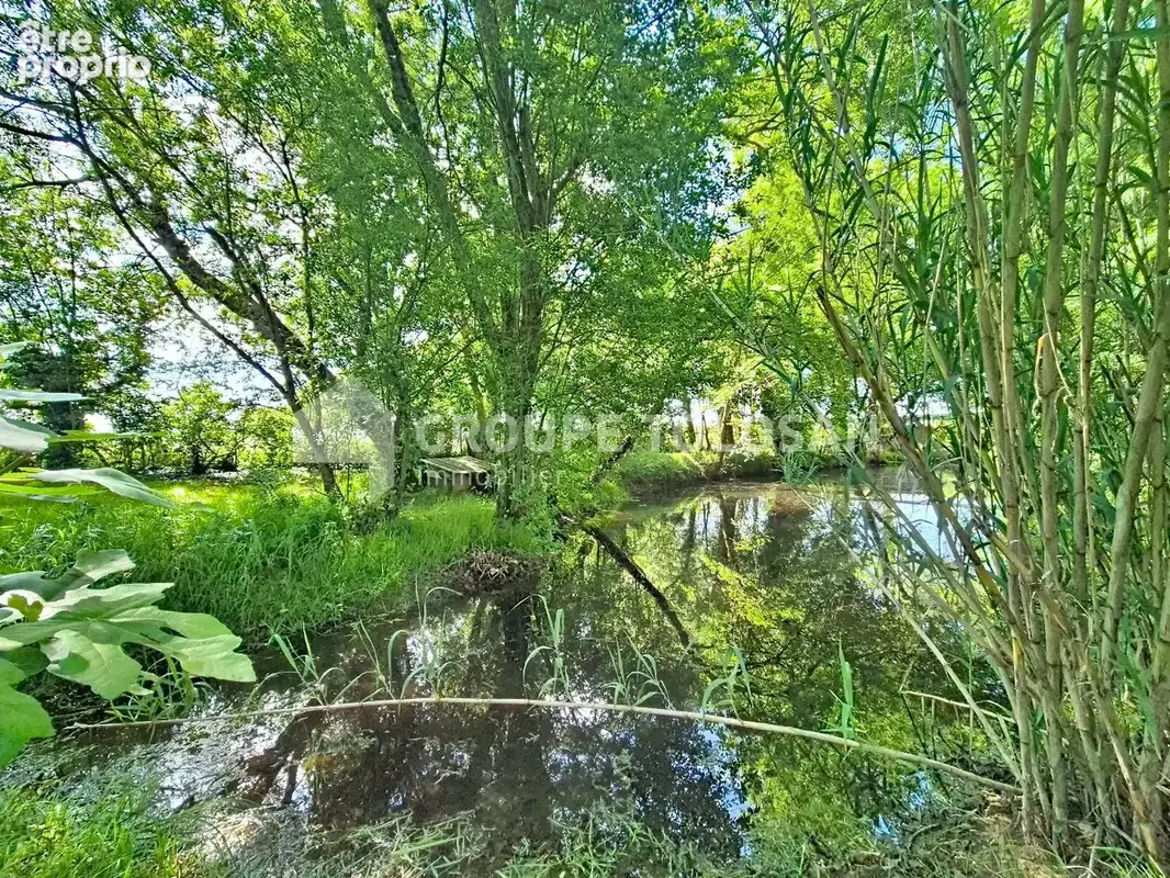 Périphérie revel - photo 20