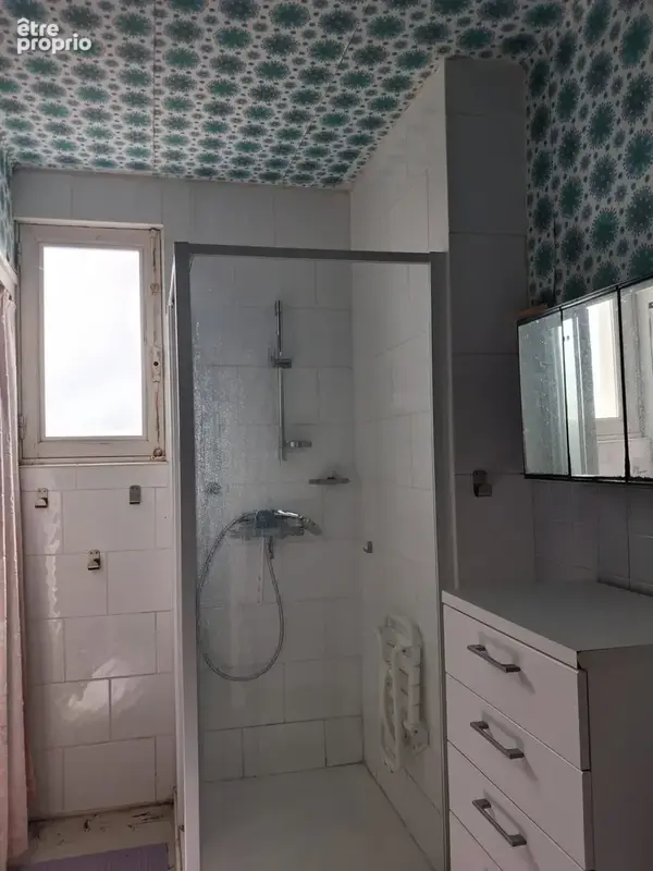 Salle d'eau rdc