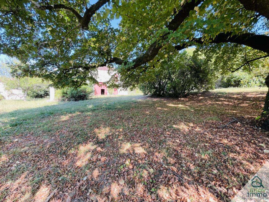 Maison à VILLEBOIS-LAVALETTE