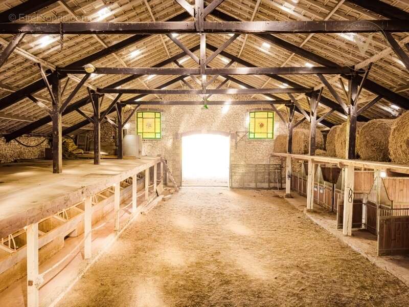 Domaine équestre d’exception sur 40 hectares — Authenticité, nature et passion proche de Penne d’Agenais (47) - photo 9