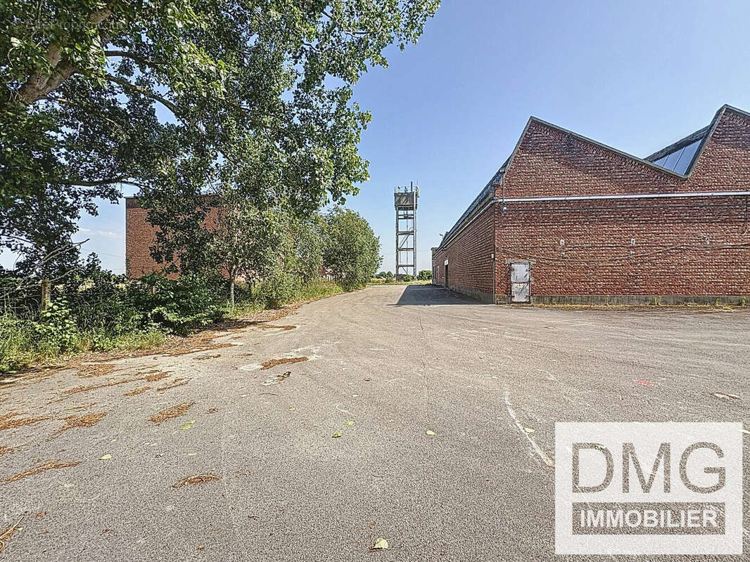 Commerce à STEENVOORDE