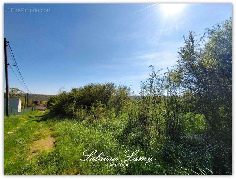 Terrain à SUIZY-LE-FRANC