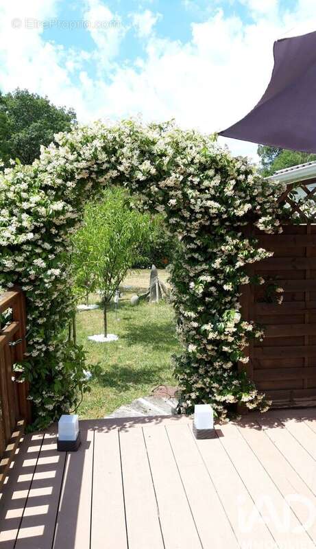 Photo 2 - Terrain à SAINTE-GEMME