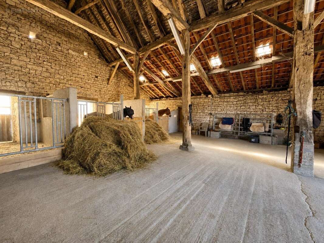 Propriété de caractère en pierres – Domaine équestre sur près de 6 hectares - photo 24
