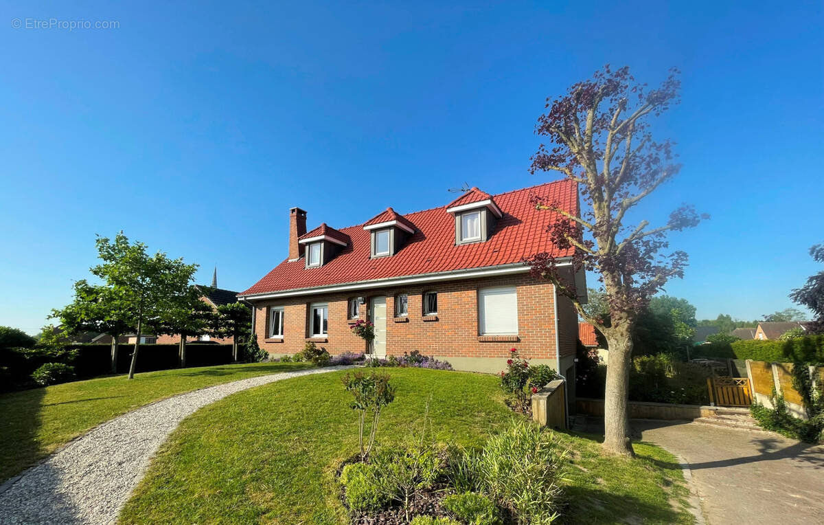 Maison à STEENVOORDE