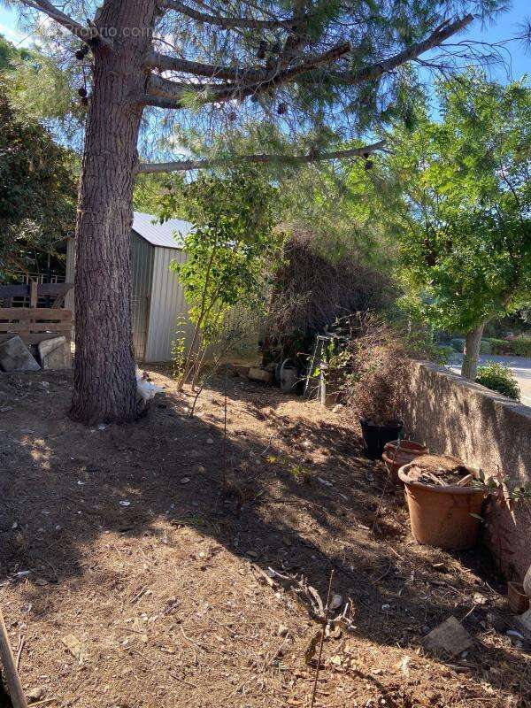 Villa Meze 4 pièce(s) 103 m2 - photo 21