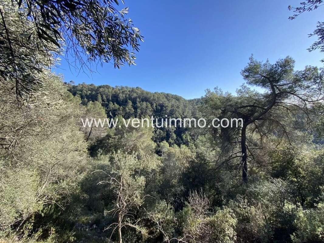 Terrain à SAINT-CEZAIRE-SUR-SIAGNE