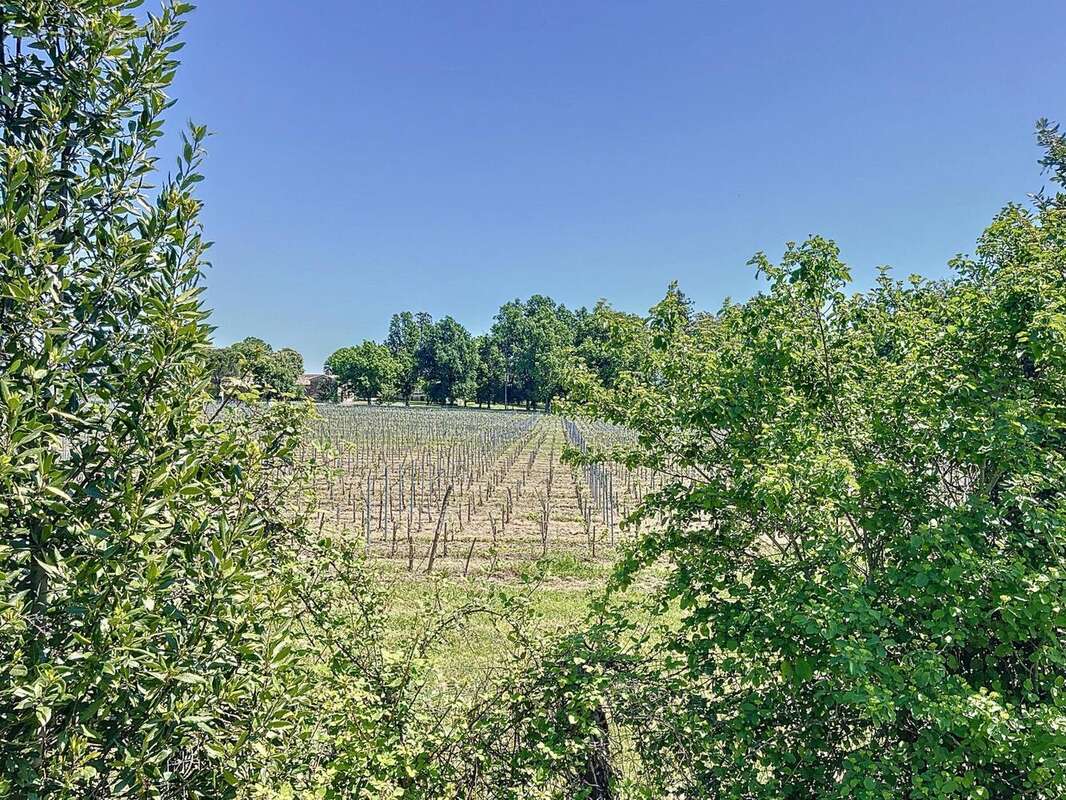 Photo 5 - Maison à SAINTE-EULALIE