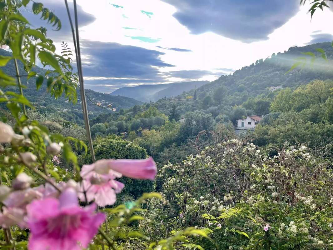 Terrain à SAINT-BLAISE