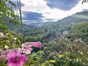 Terrain à SAINT-BLAISE