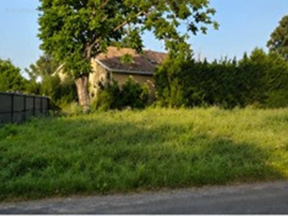 Terrain à PEUJARD