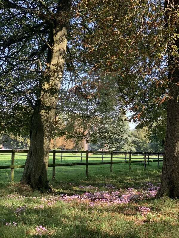Maison à FORGES-LES-EAUX