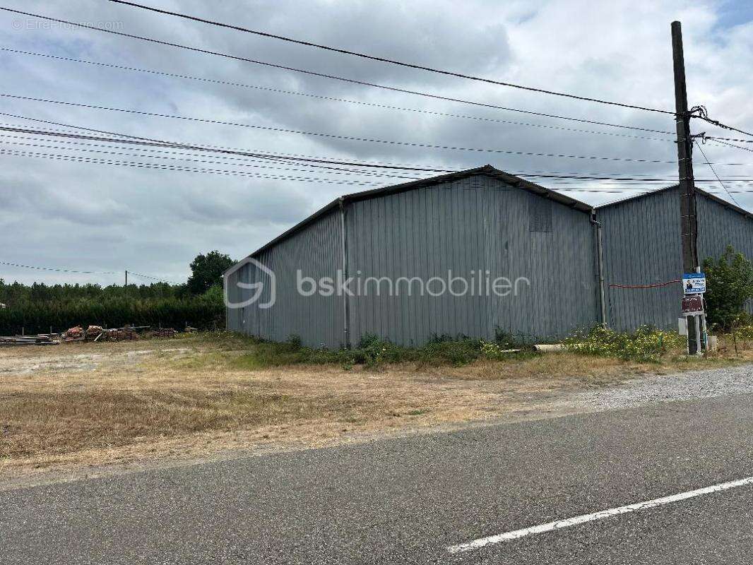 Entrepôt 300 m² sur parcelle constructible - photo 4