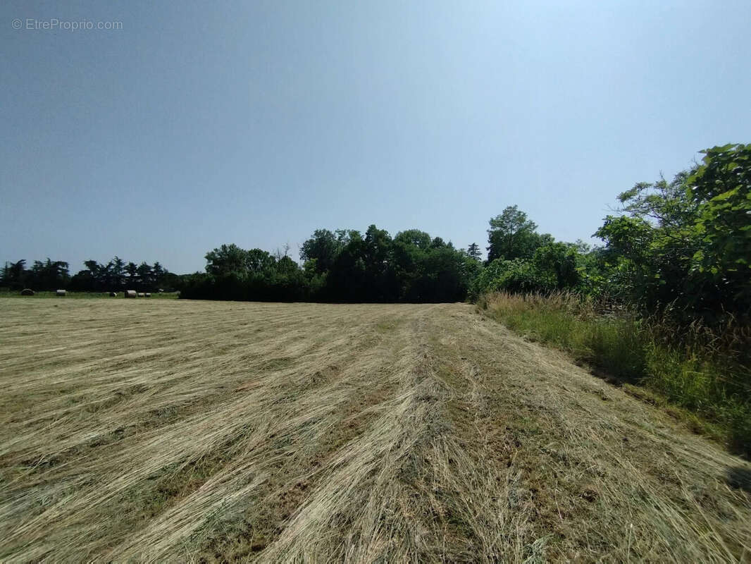 Terrain à CASTELNAU-MONTRATIER