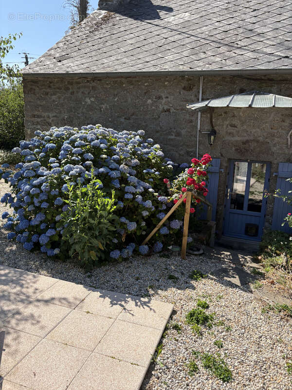Maison à AMBRIERES-LES-VALLEES