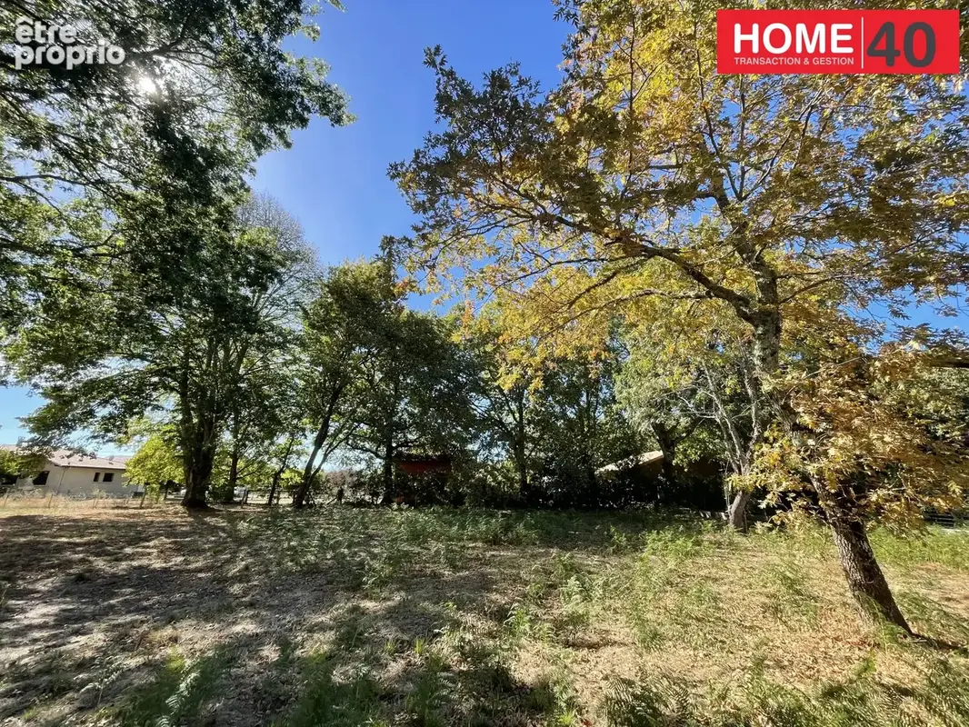 Terrain 900 m² à vendre à Sanguinet (40460) - photo 2