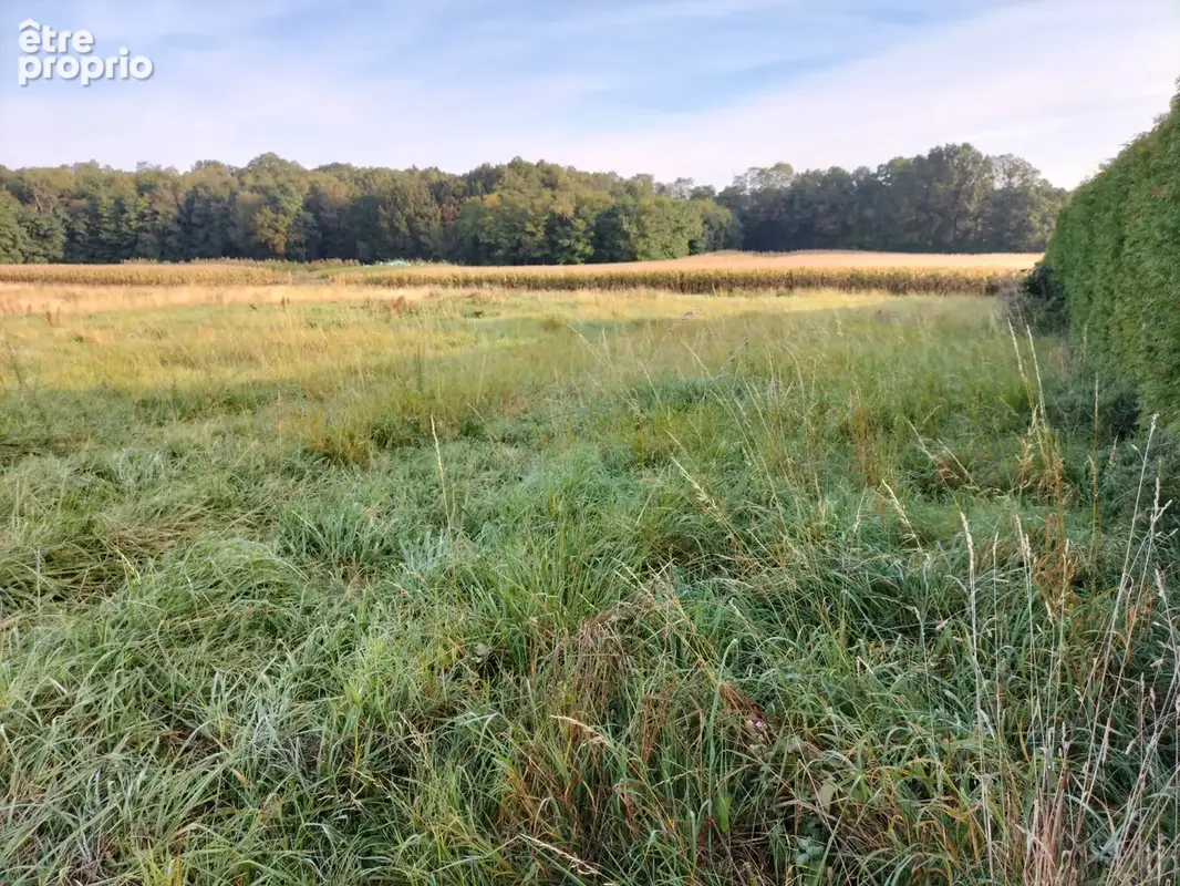 Terrain 1647m2 constructible et viabilise 10min ouest de sens - photo 2